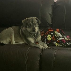 Meet your Posher, Abbey919